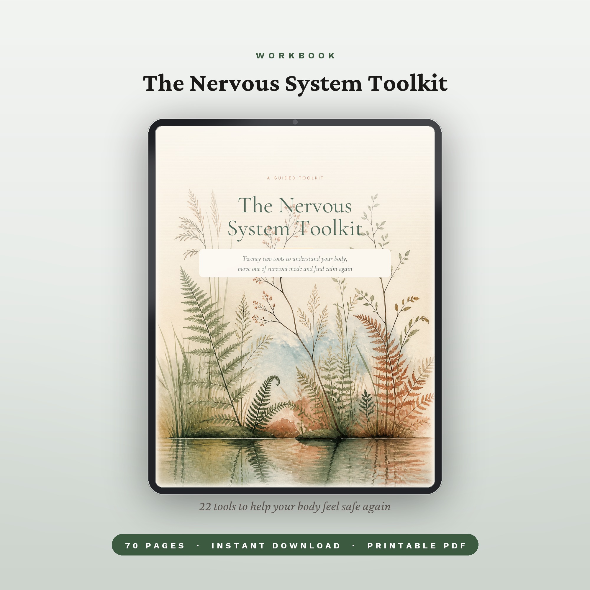 The Nervous System Regulation Toolkit
